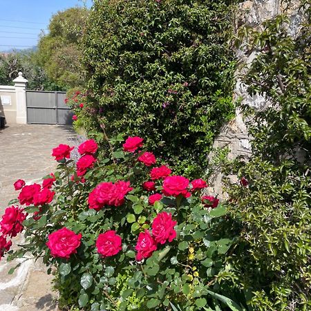 Ferienwohnung Les Trefles Hyères Exterior foto