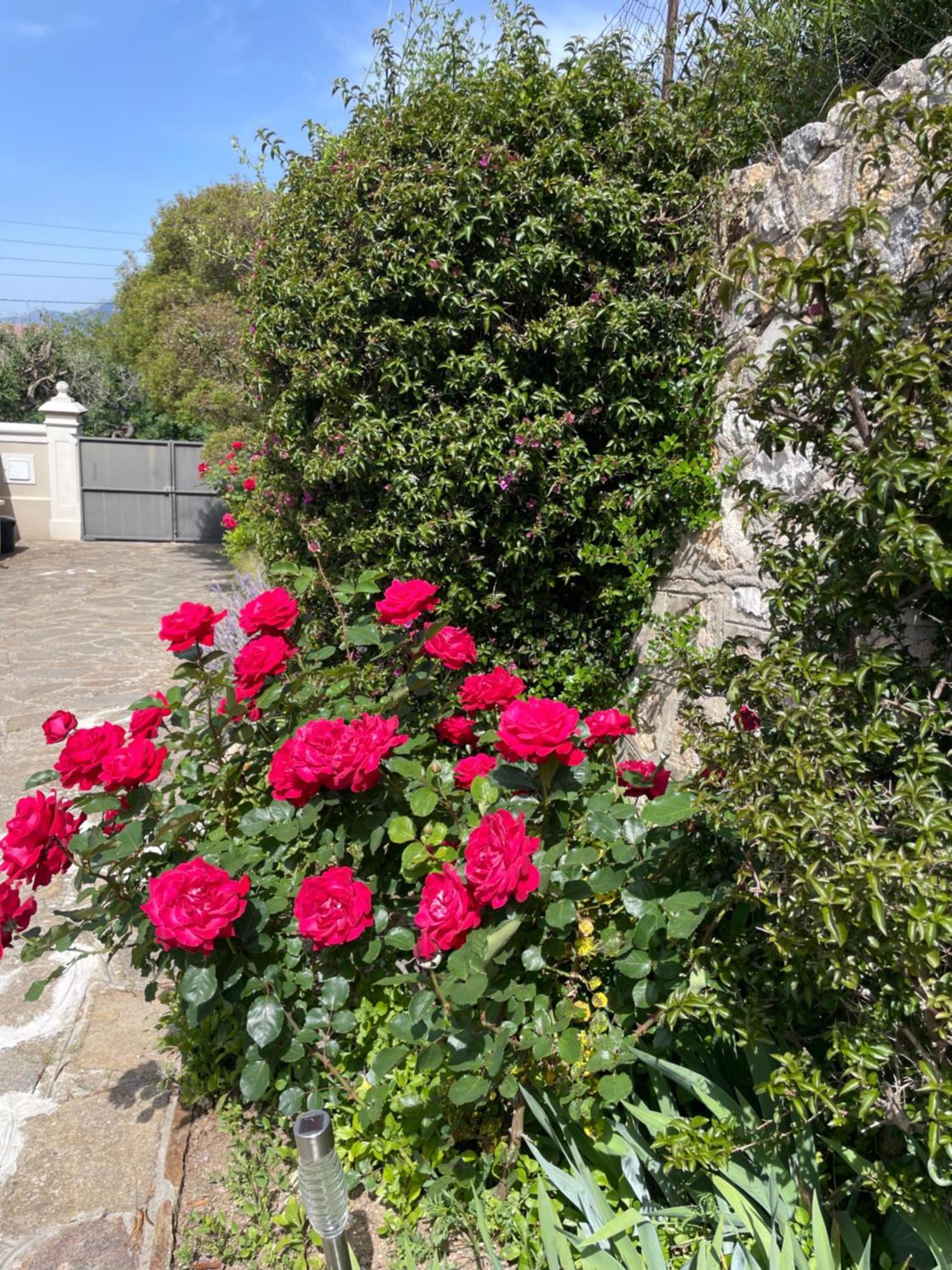 Ferienwohnung Les Trefles Hyères Exterior foto